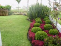 /album/fotogaleria-jardineria-y-paisajismo/images-10-jpg/
